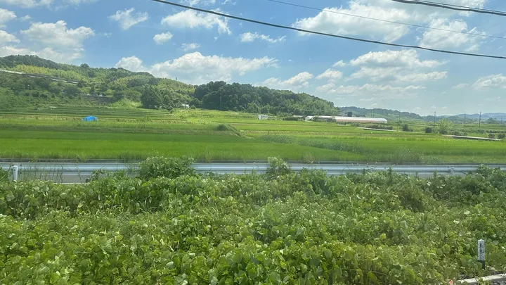 Nara — Jour 8 : Train daim et Nara
